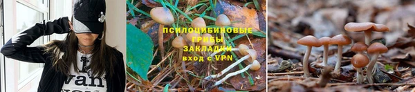 спиды Аркадак