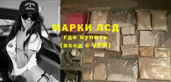 ПСИЛОЦИБИНОВЫЕ ГРИБЫ Белоозёрский