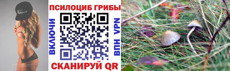 Галлюциногенные грибы Cubensis  блэк спрут как зайти  Беломорск  сколько стоит 